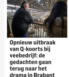 Algemeen Dagblad: Opnieuw uitbraak van Q-koorts bij veebedrijf: de gedachten gaan terug naar het drama in Brabant