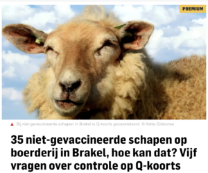 Brabants Dagblad: 35 niet-gevaccineerde schapen op boerderij in Brakel, hoe kan dat? Vijf vragen over controle op Q-koorts