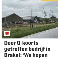 Algemeen Dagblad: Door Q-koorts getroffen bedrijf in Brakel: ‘We hopen dat het meevalt’
